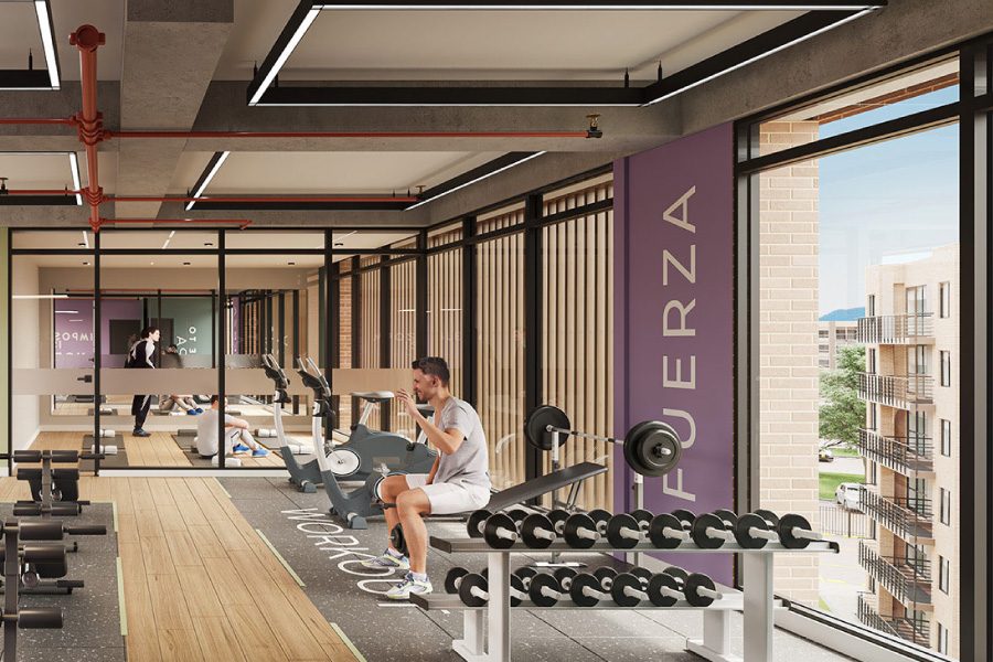 Gimnasio-2