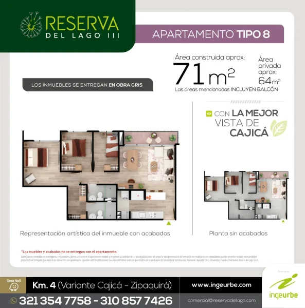 TIPO_8